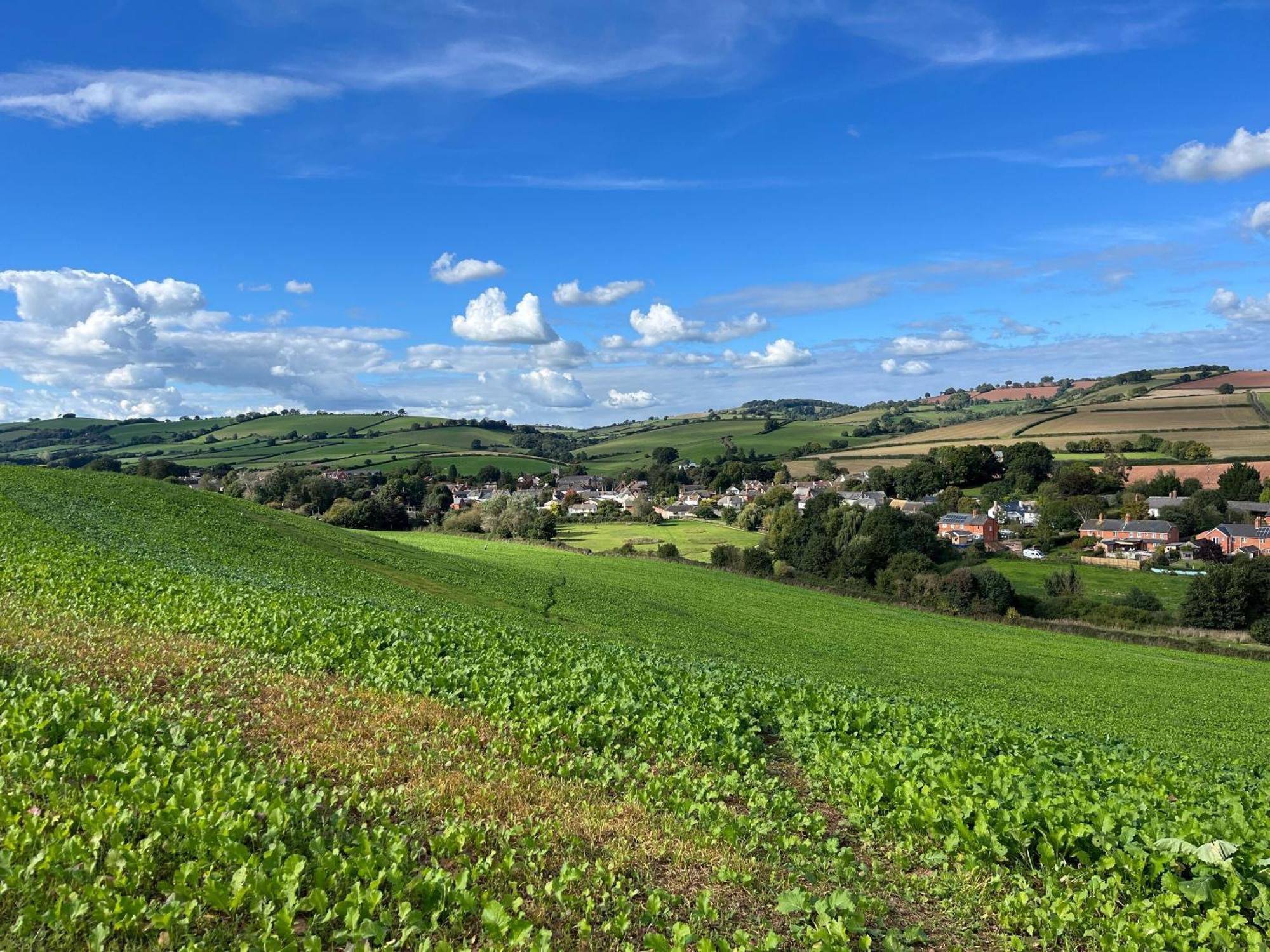 Thorverton Arms Pokoj fotografie